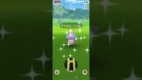 Shiny Compilation