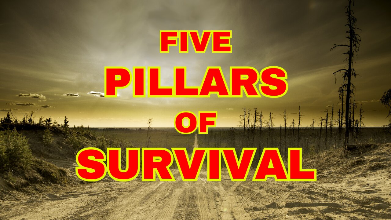 THE FIVE PILLARS OF SURVIVAL