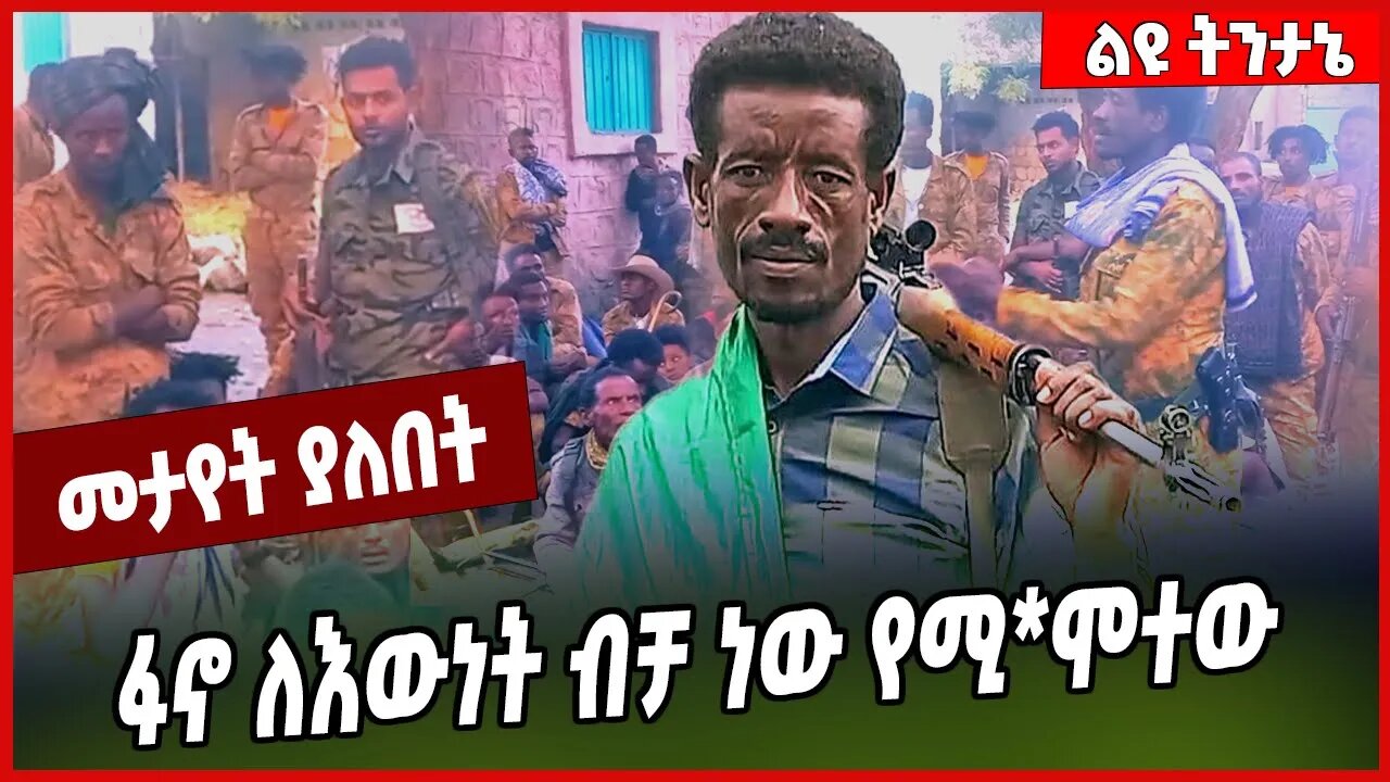 ፋኖ ለእውነት ብቻ ነው የሚ*ሞተው... Fano | Amhara | Ethiopia #Ethionews#zena#Ethiopia