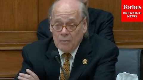 Steve Cohen Presses Witnesses On Assisting Passengers With Disabilities: 'Is It Important?'