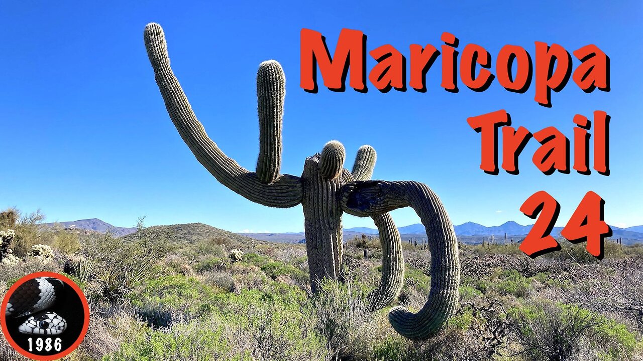 Maricopa Trail: Granite Mountain TH to Bartlett Dam Rd.