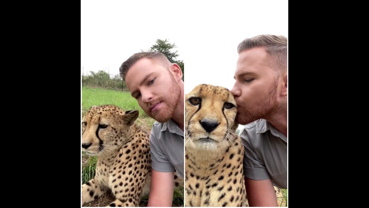 The man has made his friend a tiger and have been having enough with her