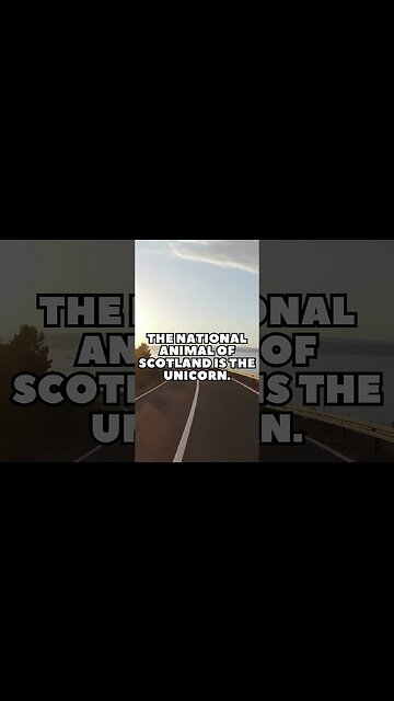 Incredible Random Facts That Will Expand Your Mind! [2023] #shorts #facts #viralshorts #fyp #life