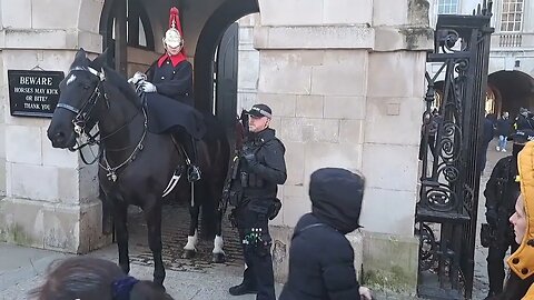 Tourist holds the reins kings guard shouts Twice GET OFF THE REINS she runs #thekingsguard