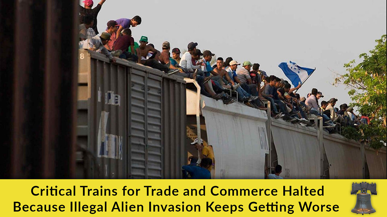 Critical Trains for Trade and Commerce Halted Because Illegal Alien Invasion Keeps Getting Worse