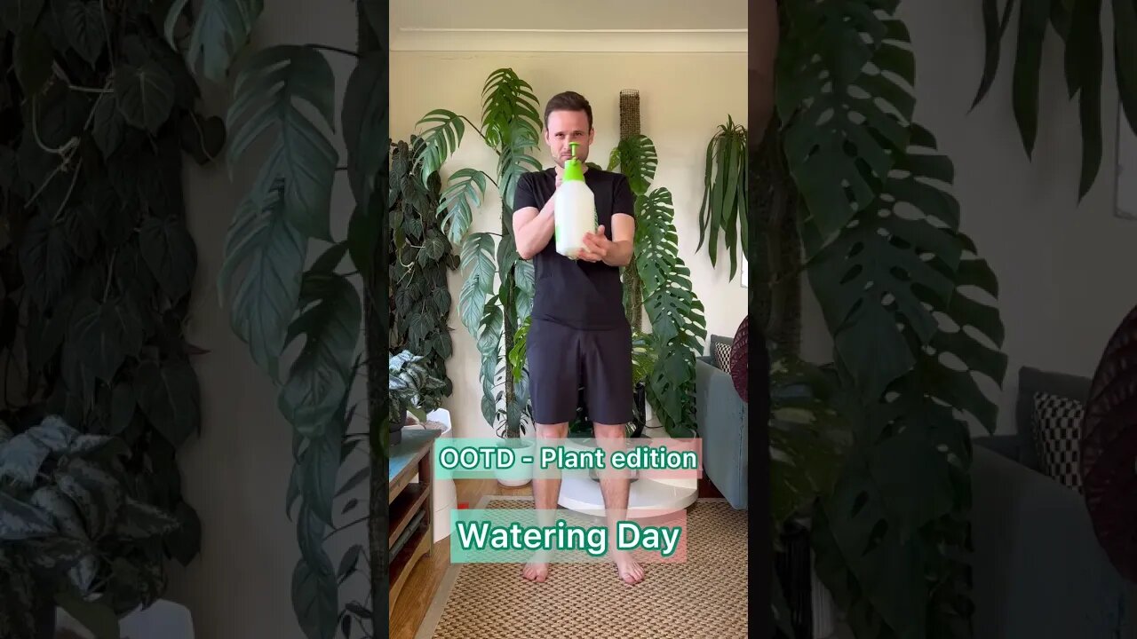 #OOTD but make it planty