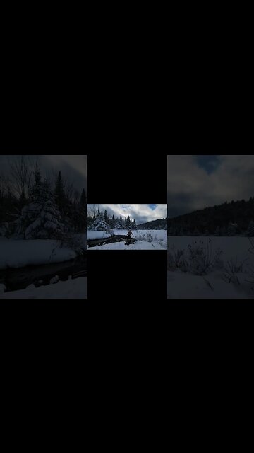 #ytshortsvideo #outnow #newvideoalert #bitchute #epic