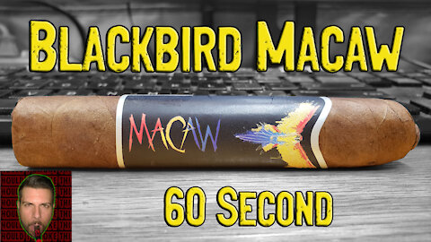 60 SECOND CIGAR REVIEW - Blackbird Macaw - Should I Smoke This