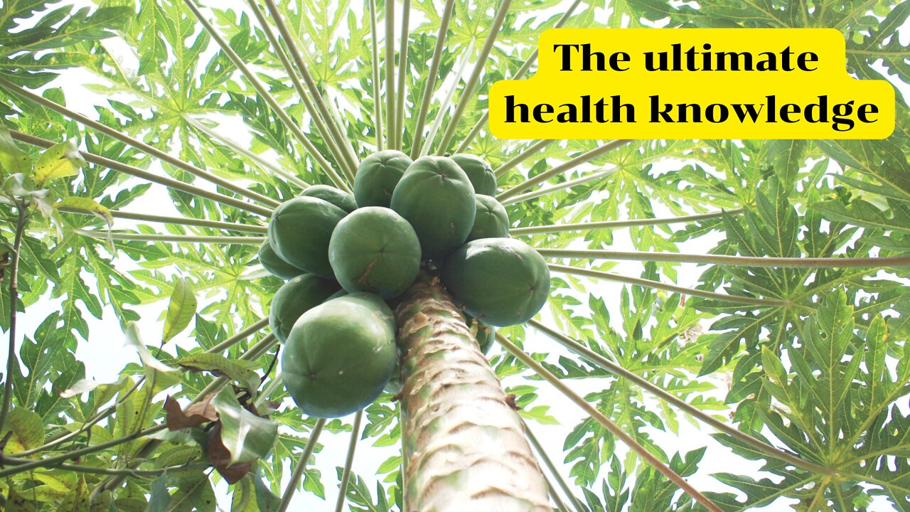 How Papaya Leaves can in inhibit cancer growth