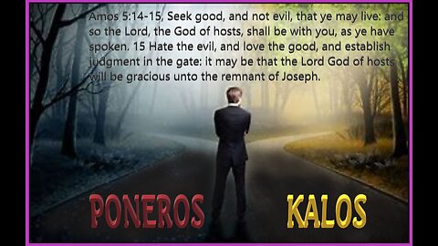 SEEK KALOS NOT PONEROS #169 LCM