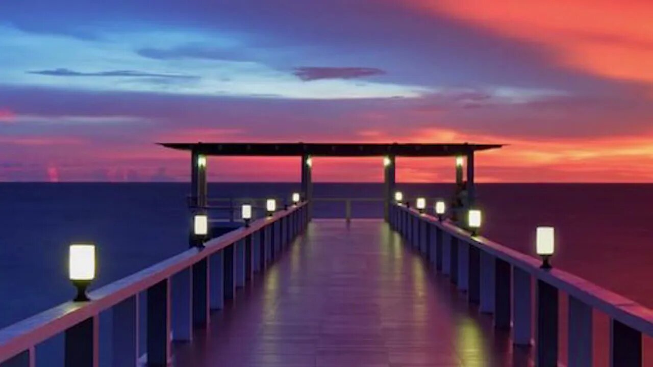 Nature's Serenade Harmonies of the Outdoors