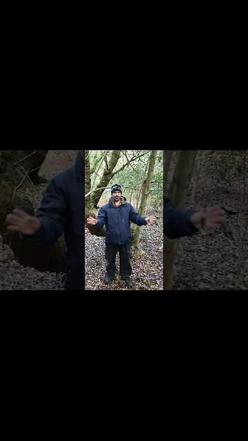 I have left no trace in a woodland. vlog. 13th Nov 2023 #shortsvideo #travel