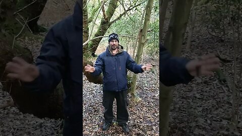 I have left no trace in a woodland. vlog. 13th Nov 2023 #shortsvideo #travel