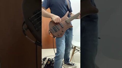 Warwick thumb ( Audio Slave)