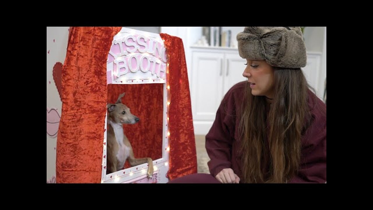 Dog Kissing Booth