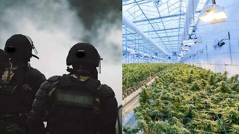 WHO is Behind the Unconstitutional War on Drugs