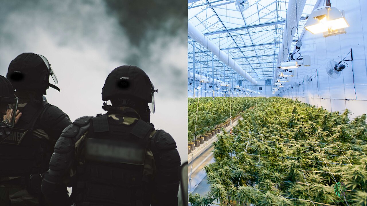 WHO is Behind the Unconstitutional War on Drugs