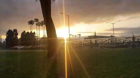 IWDA 19 w pixie n wombat n dis