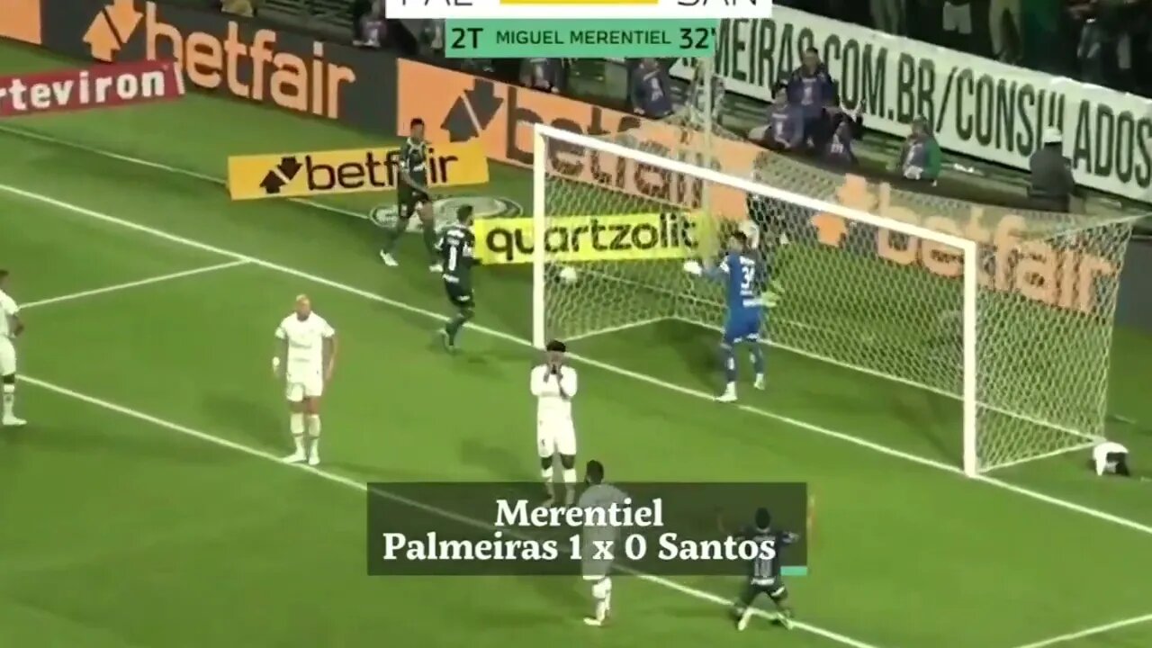 PALMEIRAS CAMPEÃO Brasileiro: 5 gols MAIS BONITOS da campanha VITORIOSA do VERDÃO#futebol #campeão