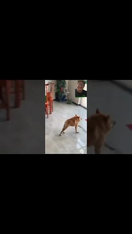 Short spine syndrome EXTREMELY rare