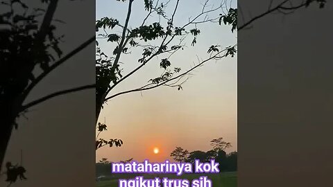 INI PAGI ATAU SORE SIH..?? #shortvideo #laripagi #senja #mataharipagi #olahragapagi