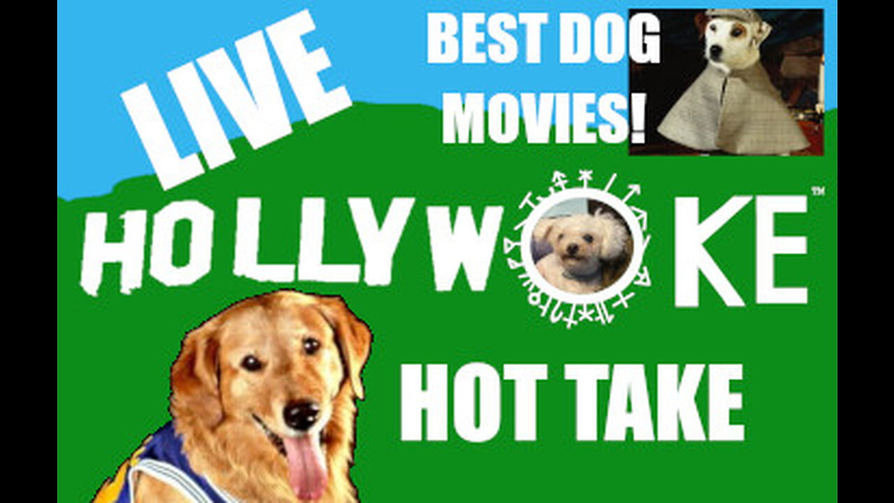 Hollywoke Hot Take Live, Sundays at 7pm! Best Dog Movies of All Time!