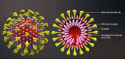 covid virus