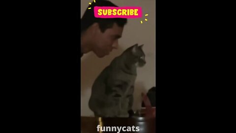 Funny animal part 1