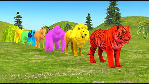 Paint Animals Gorilla Cow Tiger Lion Elephant Fountain Crossing Animal Game!!!