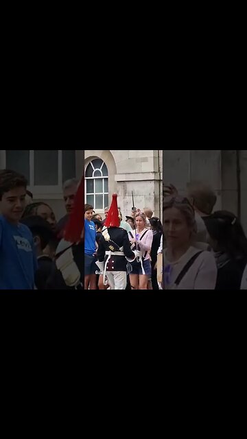 Scare the tourist's #horseguardsparade