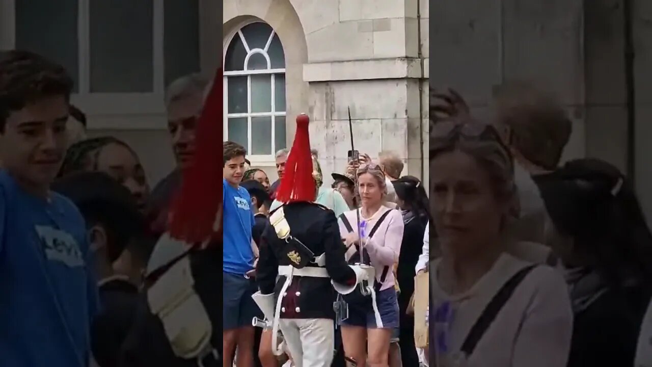 Scare the tourist's #horseguardsparade