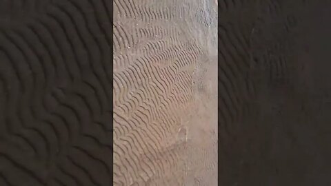 Hypnotizing Beach reflections, Lake Huron Cheboygan State Park