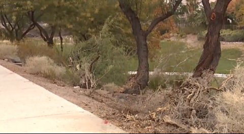 Six teens injured in Henderson, 14-year-old behind wheel