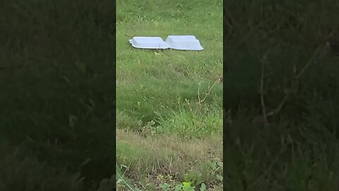 restaurant thing #shorts