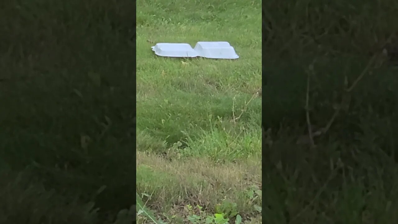 restaurant thing #shorts