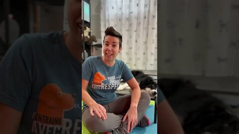 Défi 12 jours de Noël #1