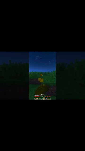 Mini Minecraft Moments: Quick and Exciting Adventures!