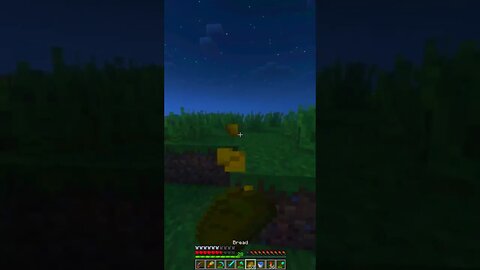 Mini Minecraft Moments: Quick and Exciting Adventures!