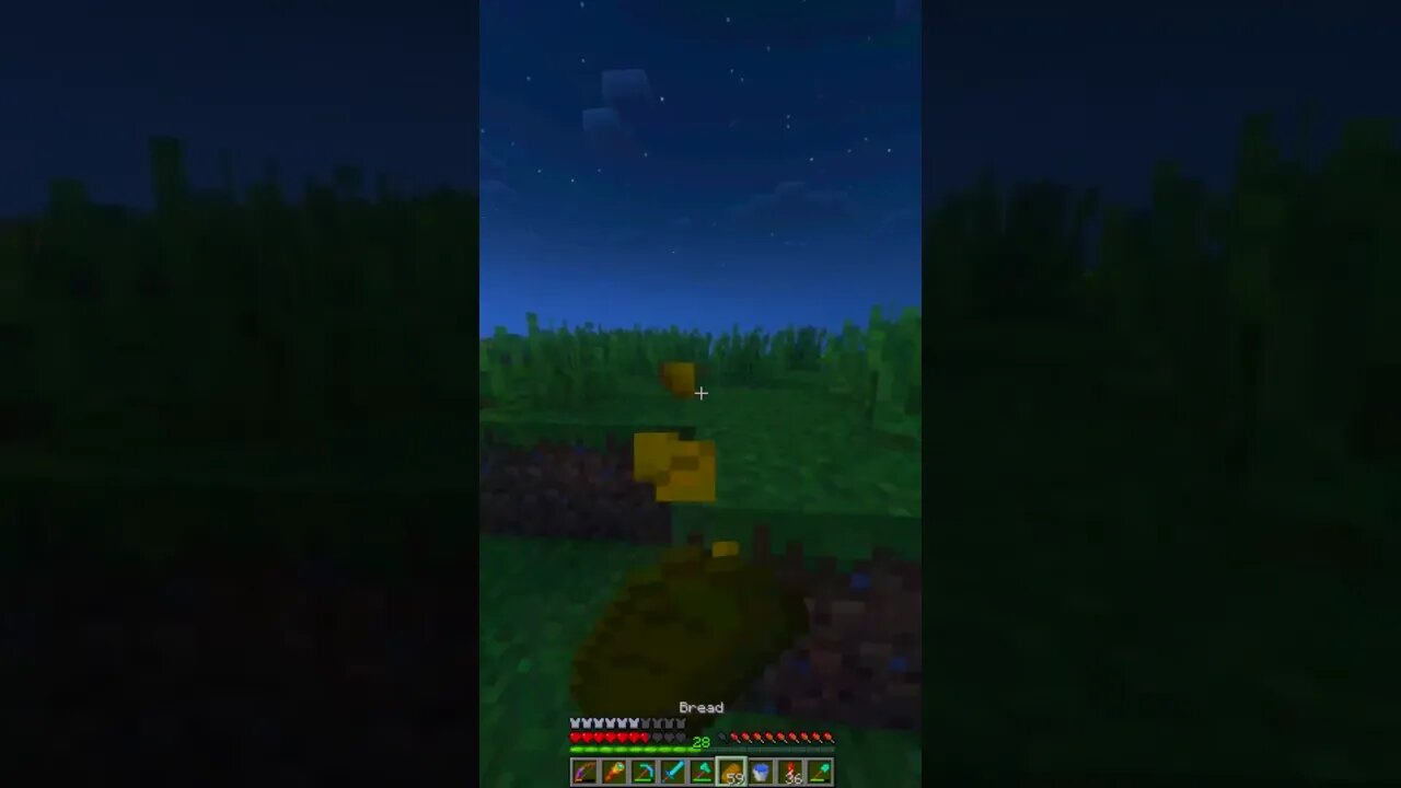 Mini Minecraft Moments: Quick and Exciting Adventures!