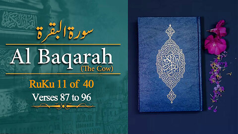 Quran with Urdu Translation | Surah Al Baqrah With Urdu Translation | Ruku 11 Of 40 | Verse 87 to 96