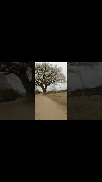 A visit to Emmerdale Film set near Harewood House