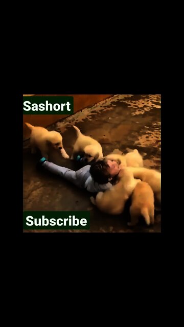 cute baby 😍😍 playing with cute dog|cute baby|cute baby shorts