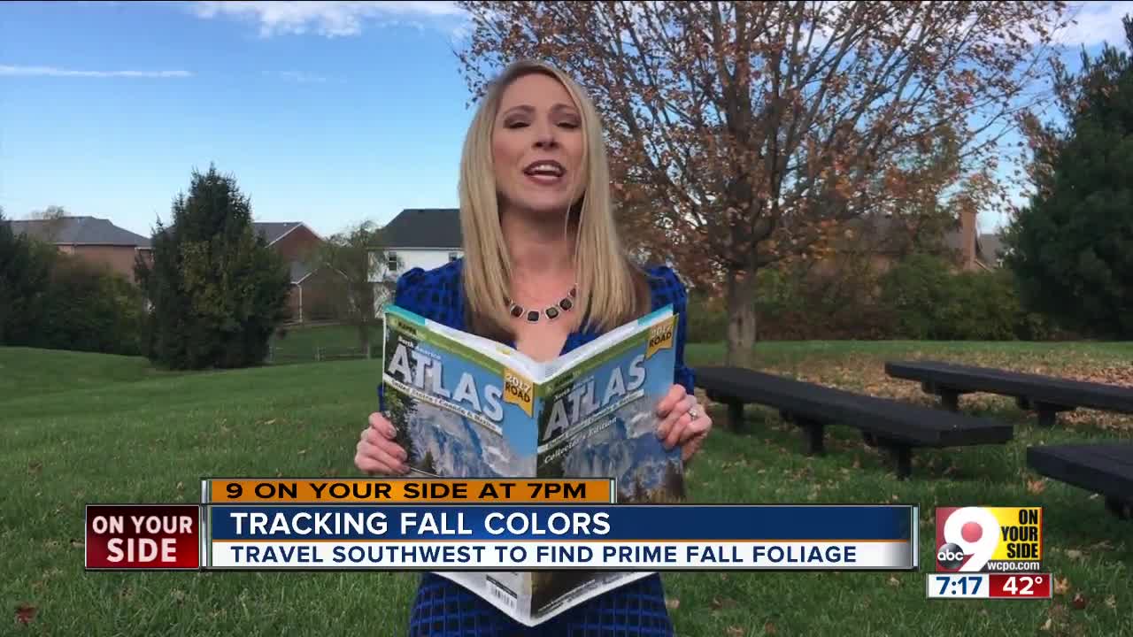 Finding the best fall foliage in the Tri-State