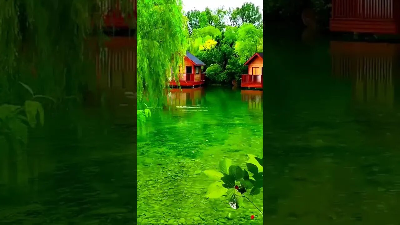 Спокойная Расслабляющая Фортепианная Музыка #calm #soothing #relaxation #relax #nature