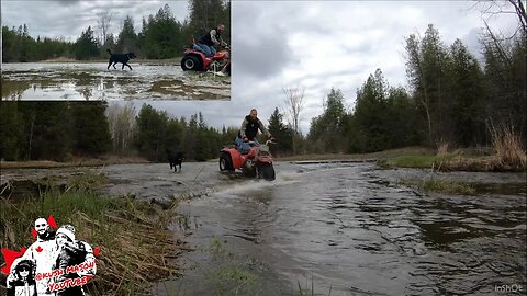 Exploring the land behind our barn with Max on a Honda trike