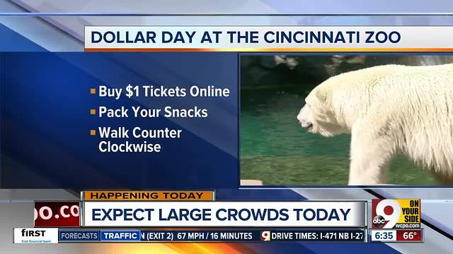 It's $1 day at the Cincinnati Zoo