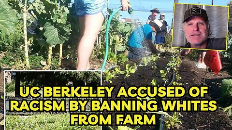 UC Berkeley accused of racism by banning whites from community farm