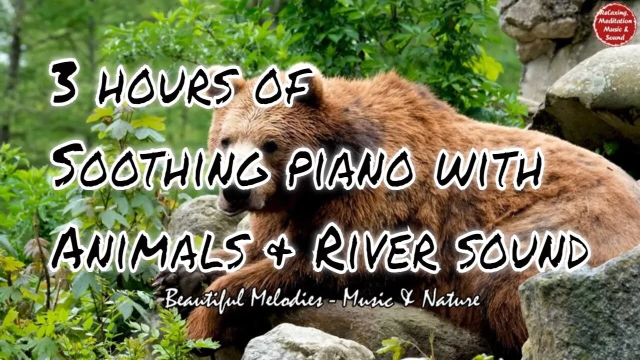 Soothing music with piano and river sound for 3 hours, relaxation music for work & study