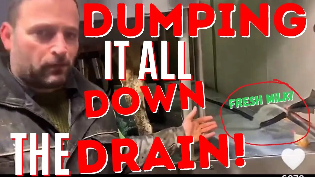 Canadian FARMER Forced To Dump 30,000 LITERS Of FRESH MILK Down The Drain!