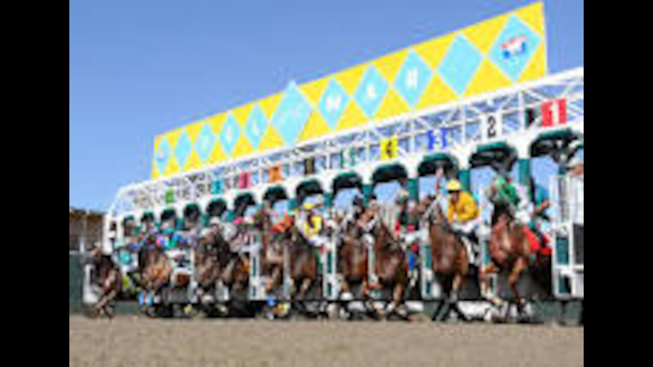 Every Friday thru Sunday #DELMAR #SARATOGA Horseracing